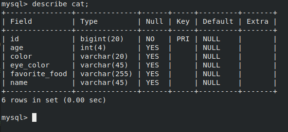 The schema and the table will be created automatically which can be verified by connecting to the database